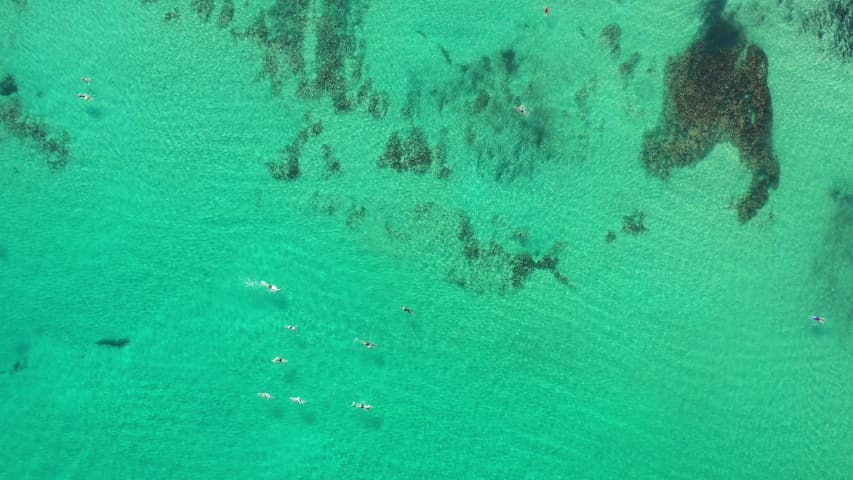 Aerial Image of COTTESLOE BEACH SWIMMERS
