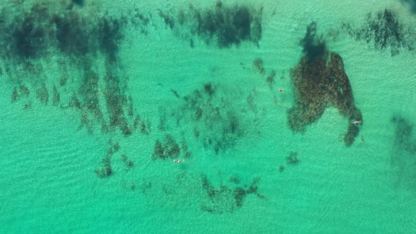 Aerial Image of COTTESLOE BEACH SWIMMERS BIRDS EYE VIEW
