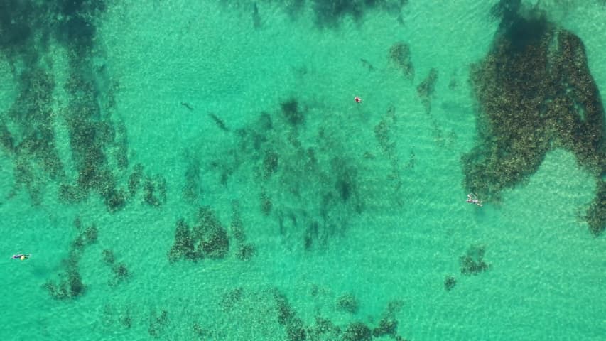 Aerial Image of COTTESLOE BEACH OCEAN