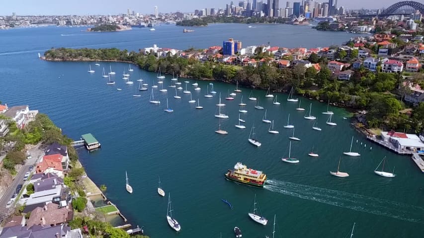 Aerial Image of MOSMAN