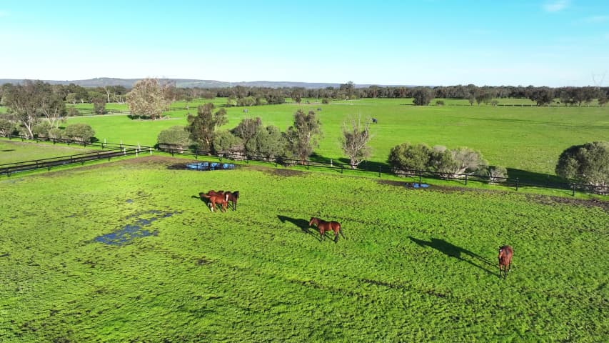 Aerial Image of NORTH DANDALUP HORSES