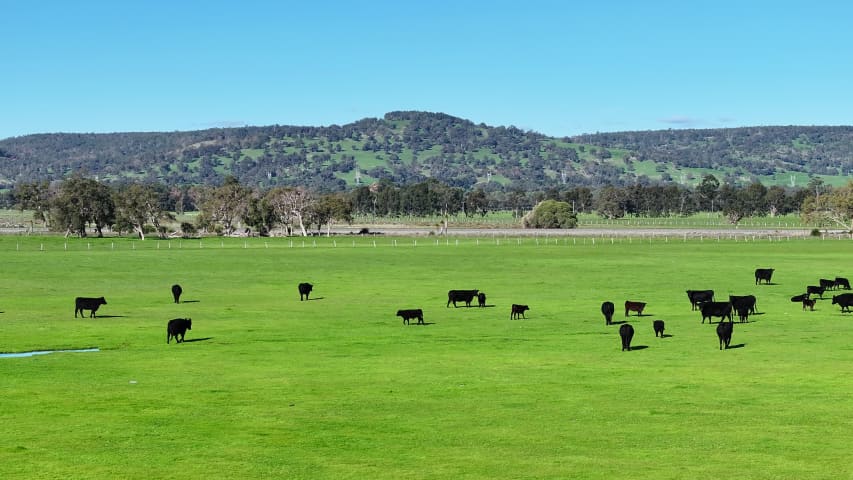 Aerial Image of NORTH DANDALUP