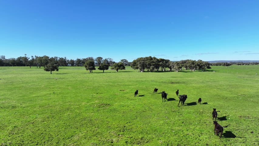 Aerial Image of NORTH DANDALUP