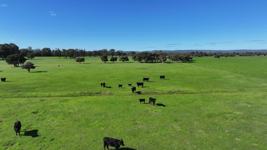 Aerial Image of NORTH DANDALUP