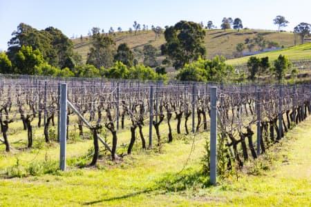 Aerial Image of MOUNT VIEW