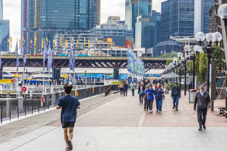 Aerial Image of SYDNEY