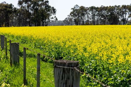 Aerial Image of MANGALORE