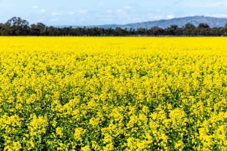 Aerial Image of MANGALORE