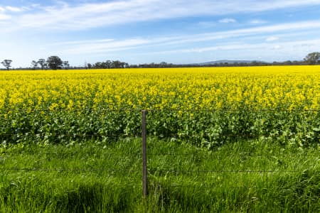 Aerial Image of MANGALORE
