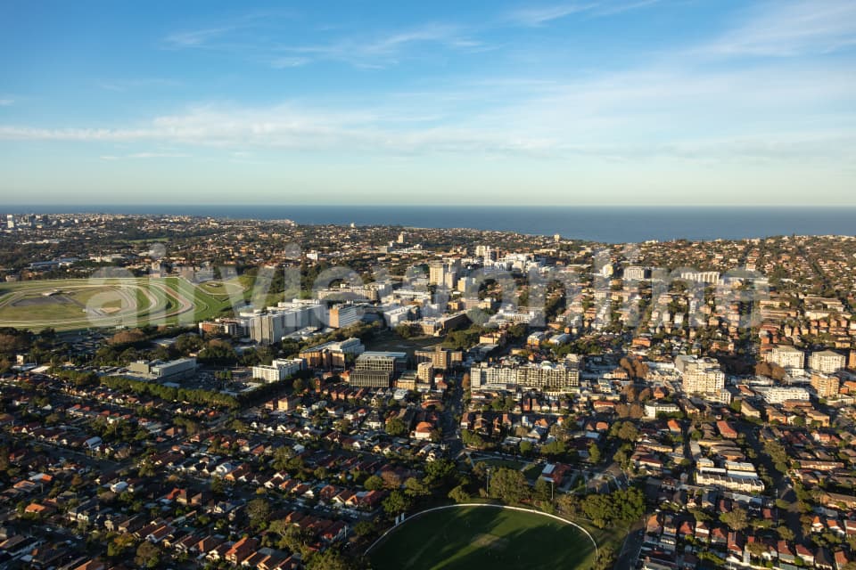 Aerial Image of Kensington and Randwick Late Afternoon