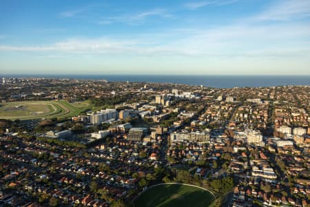 Aerial Image of KENSINGTON AND RANDWICK LATE AFTERNOON