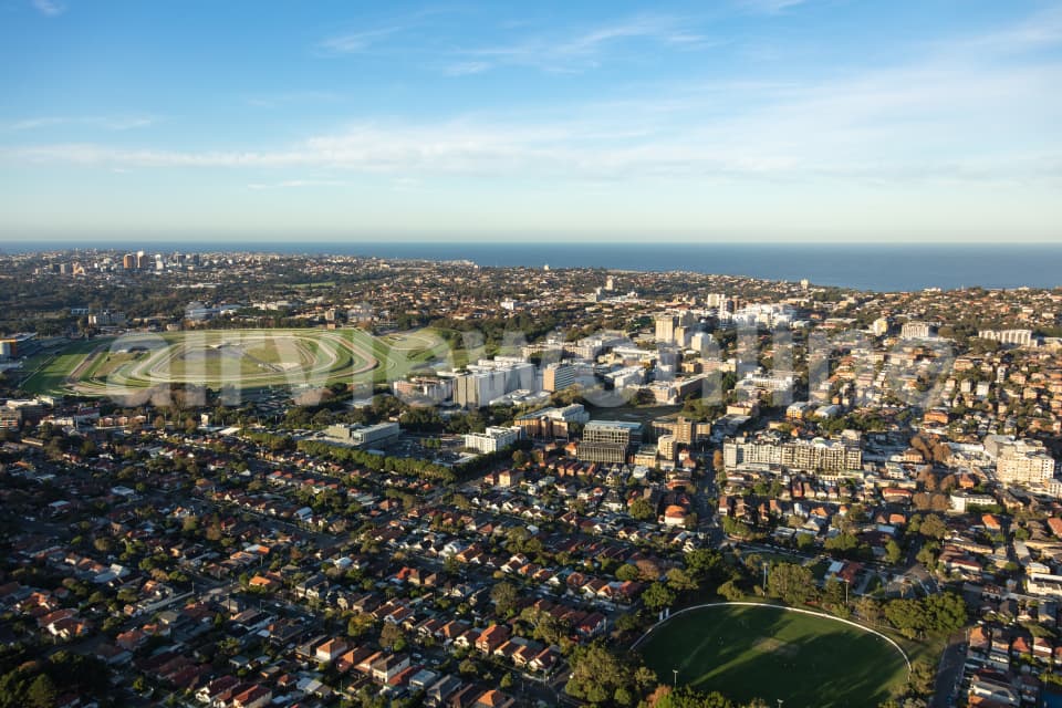 Aerial Image of Kensington and Randwick Late Afternoon