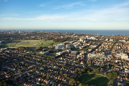 Aerial Image of KENSINGTON AND RANDWICK LATE AFTERNOON