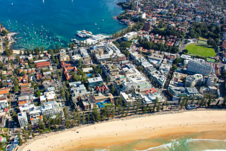 Aerial Image of MANLY