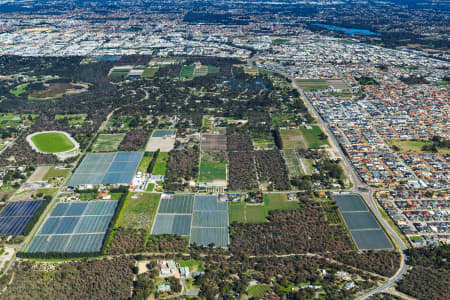 Aerial Image of WANNEROO