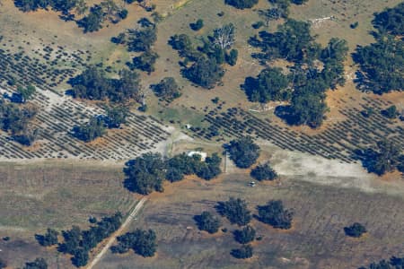 Aerial Image of POINT GREY
