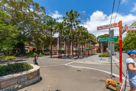 Aerial Image of NORTH SYDNEY