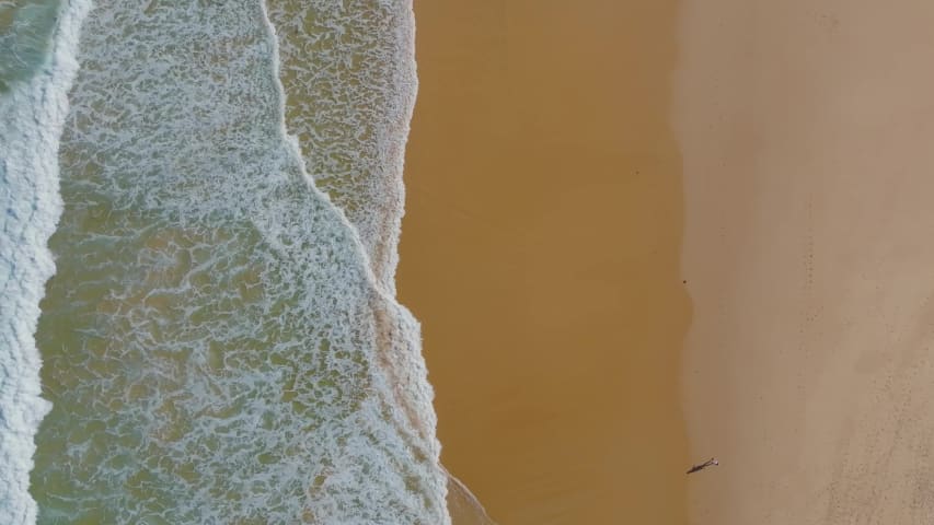 Aerial Image of COLLAROY
