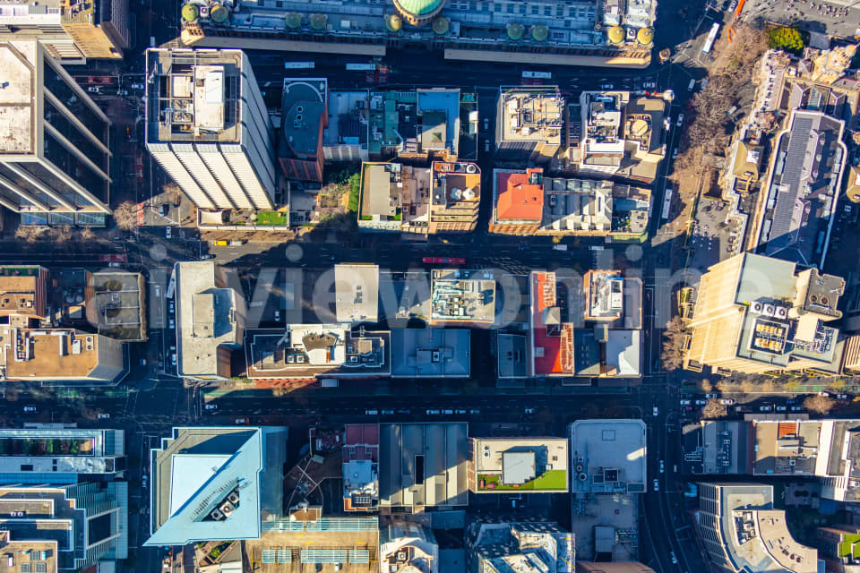 Aerial Image of Sydney Vertical