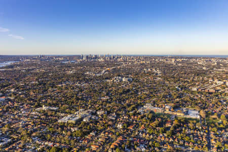 Aerial Image of DULWICH HILL
