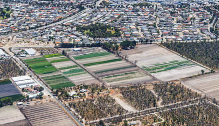 Aerial Image of MARIGINIUP