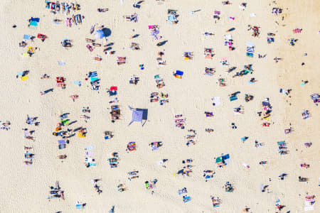 Aerial Image of POTTS POINT