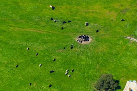 Aerial Image of COWS