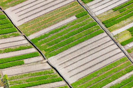 Aerial Image of KYEEMAGH MARKET GARDENS