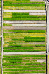 Aerial Image of KYEEMAGH MARKET GARDENS