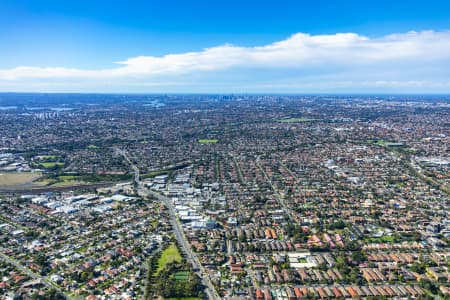 Aerial Image of DARLINGHURST TO CBD