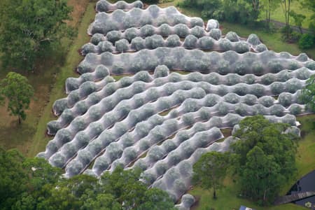 Aerial Image of FRUIT TREE NETTING, NSW