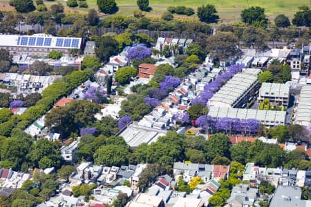 Aerial Image of SURRY HILLS JACARANDAS