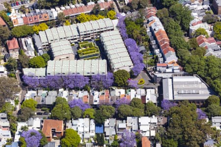 Aerial Image of SURRY HILLS JACARANDAS