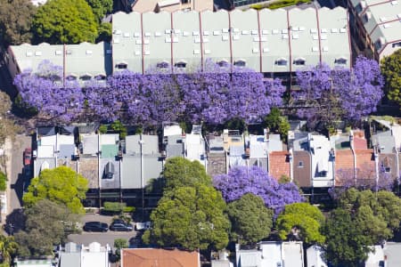 Aerial Image of SURRY HILLS JACARANDAS