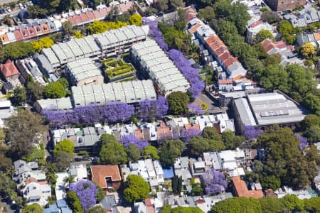 Aerial Image of SURRY HILLS JACARANDAS