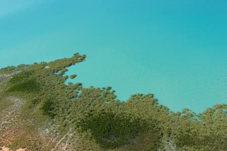 Aerial Image of BROOME MANGROVES LOOKING DOWN
