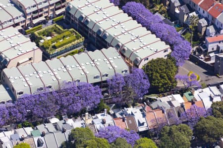 Aerial Image of SURRY HILLS JACARANDAS