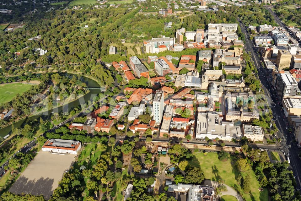 Aerial Image of University Of Adelaide, Looking East