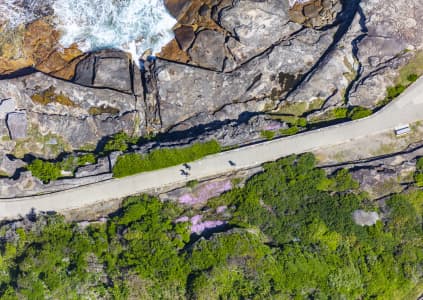 Aerial Image of TAMARAMA LIFESTYLE