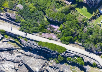 Aerial Image of TAMARAMA LIFESTYLE