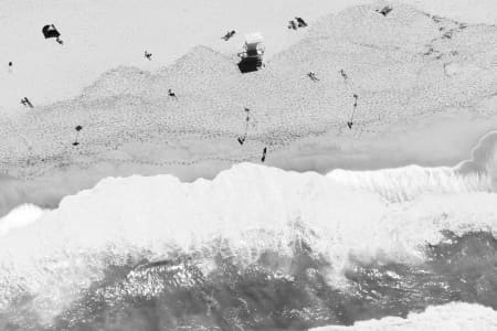 Aerial Image of BRONTE LIFESTYLE