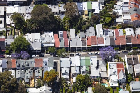 Aerial Image of PADDINGTON JACARANDAS