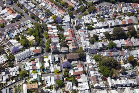 Aerial Image of PADDINGTON JACARANDAS