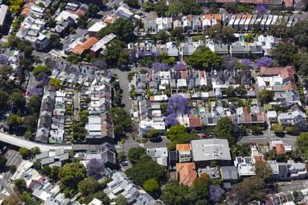 Aerial Image of PADDINGTON JACARANDAS