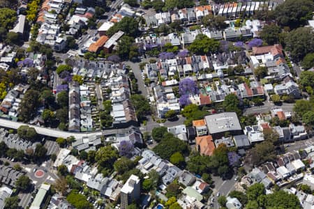 Aerial Image of PADDINGTON JACARANDAS