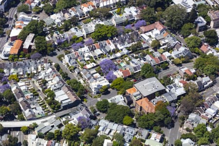 Aerial Image of PADDINGTON JACARANDAS