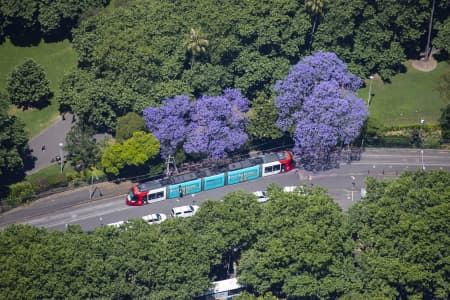 Aerial Image of DARLING HARBOUR JACARANDAS