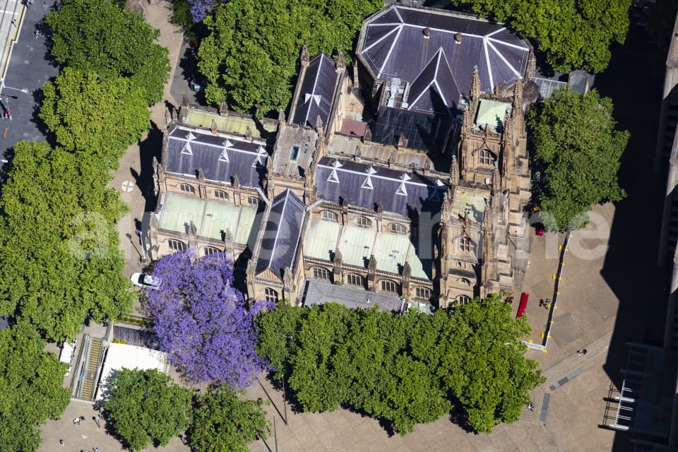 Aerial Image of Sydney Town Hall Jacarandas