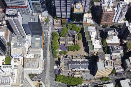 Aerial Image of SYDNEY TOWN HALL JACARANDAS