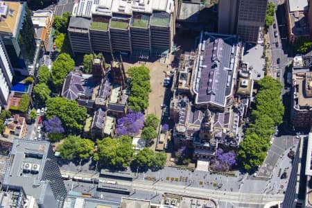 Aerial Image of SYDNEY TOWN HALL JACARANDAS